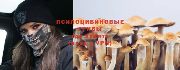крисы Майский