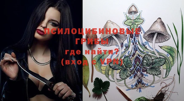 крисы Майский