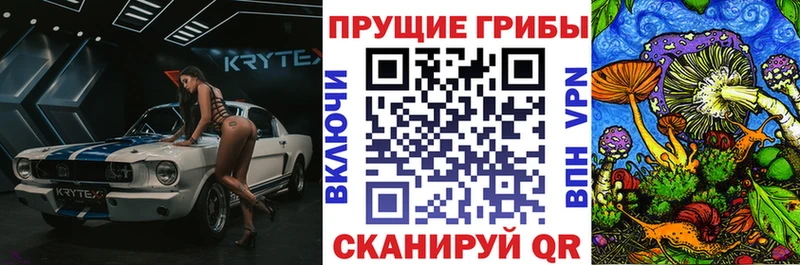 Галлюциногенные грибы GOLDEN TEACHER  где продают наркотики  Лебедянь 
